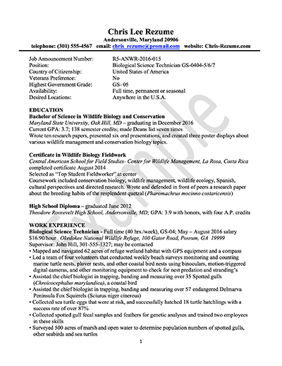 Sample Federal Resume for Fellows